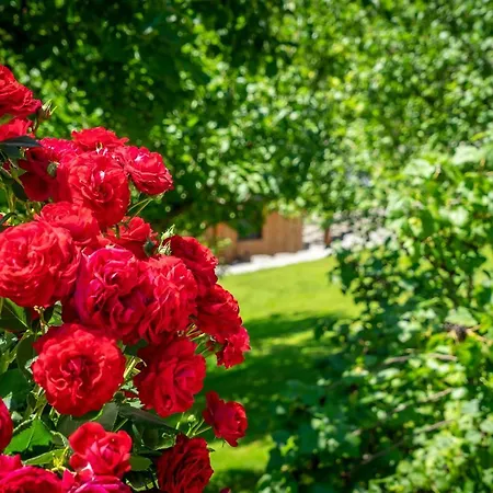 Prázdninový dům Lovely House With Mountain View & Big Garden In *