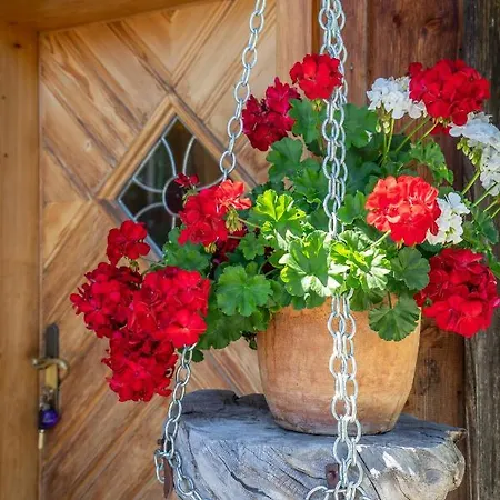 Lovely House With Mountain View & Big Garden In * Bad Aussee