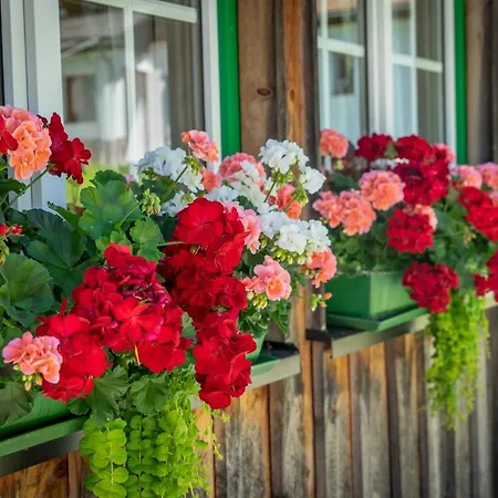 Feriehus Lovely House With Mountain View & Big Garden In *