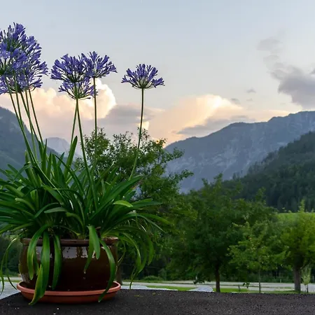 Lovely House With Mountain View & Big Garden In Ferienhaus Bad Aussee