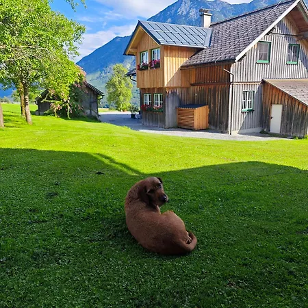 Lovely House With Mountain View & Big Garden In