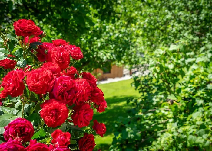 Ferienhaus Lovely House With Mountain View & Big Garden In *