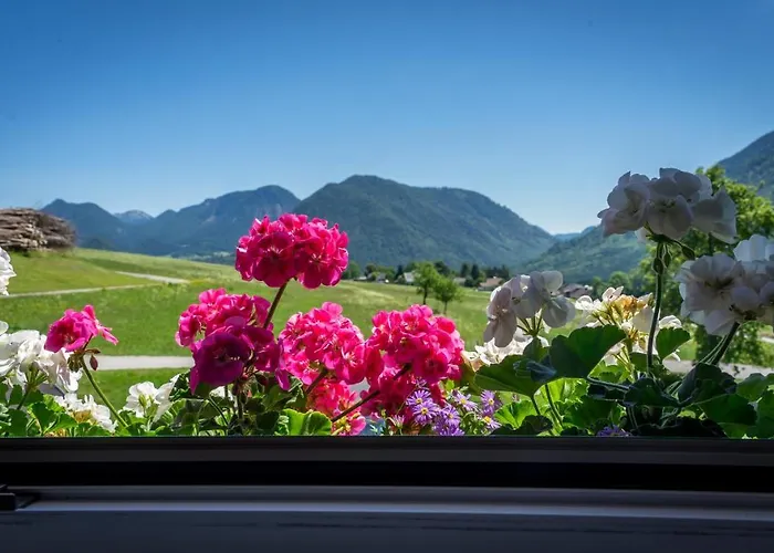 Nyaraló Lovely House With Mountain View & Big Garden In