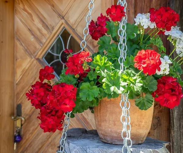 Lovely House With Mountain View & Big Garden In * Bad Aussee