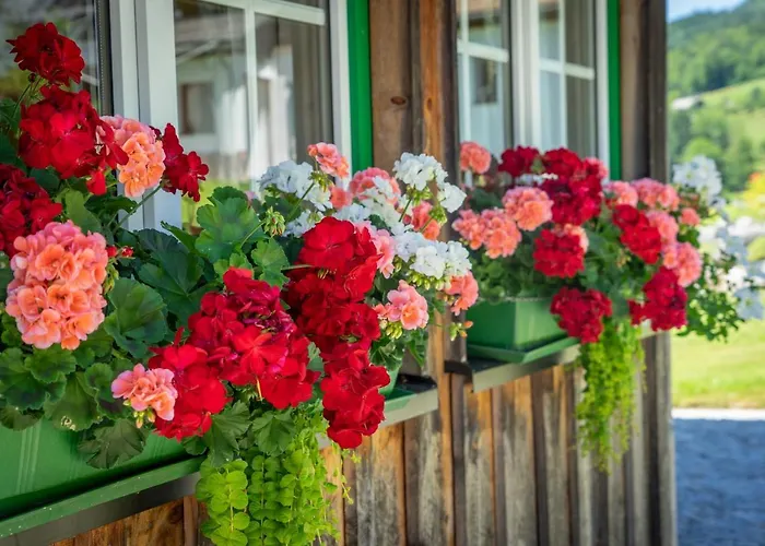 Nyaraló Lovely House With Mountain View & Big Garden In *