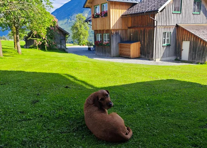 Lovely House With Mountain View & Big Garden In